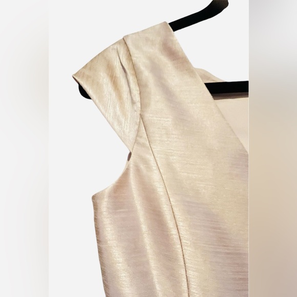 Alfred Sung Excellent US 6 Champagne Gown Formal Dress A-line Wedding Bridesmaid - Picture 10 of 12